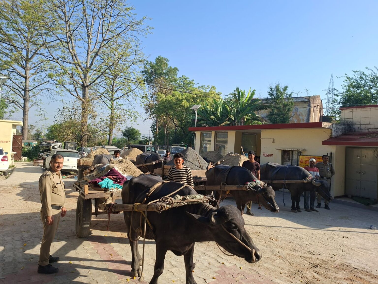 अवैध खनन पर रानीपुर पुलिस का कड़ा प्रहार, 7 भैंसा-बुग्गियां जब्त।