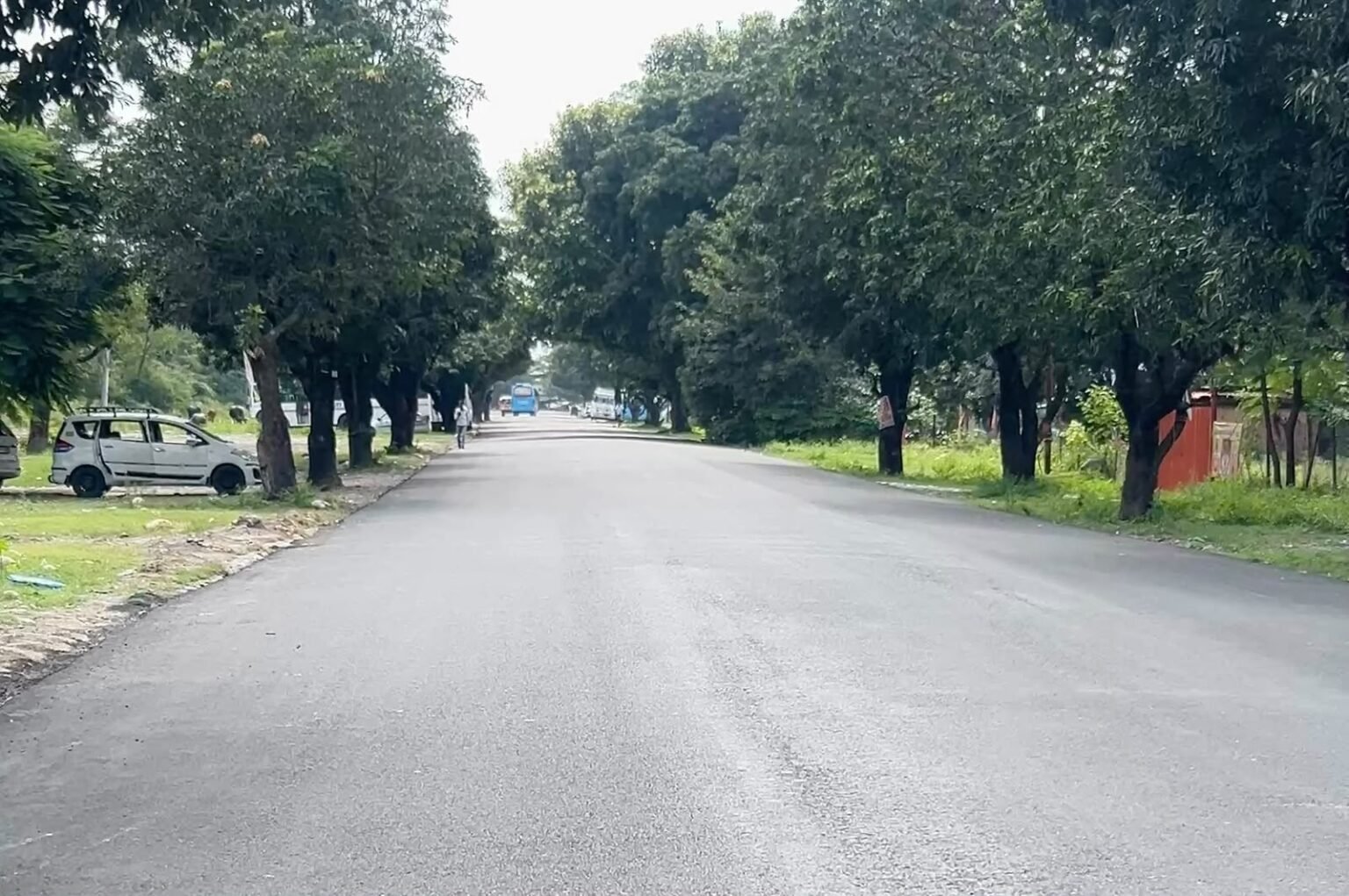 राज्य एवं केंद्र सरकार द्वारा संचालित जनकल्याणकारी योजनाओं का लाभ हर हाल में सफाई कर्मचारियों को उपलब्ध कराया जाए: उपाध्यक्ष राज्य सफाई कर्मचारी आयोग।